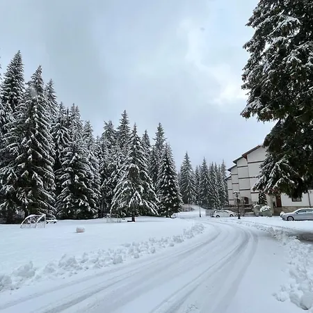Apartment горска приказка - Forest Tale Smolyan